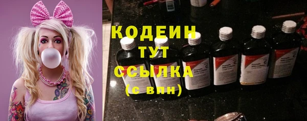 ПСИЛОЦИБИНОВЫЕ ГРИБЫ Верея